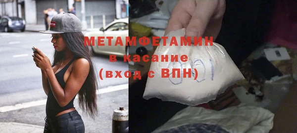 прущие грибы Новокубанск