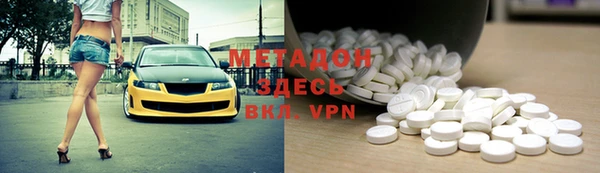 прущие грибы Новокубанск
