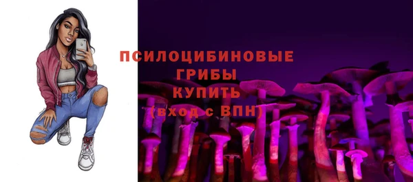 прущие грибы Новокубанск