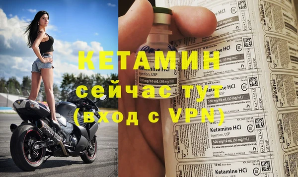 прущие грибы Новокубанск