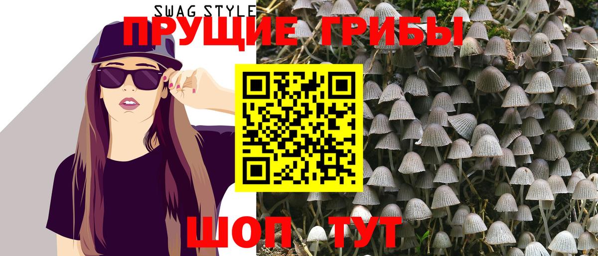 Сертолово  Галлюциногенные грибы Magic Shrooms  Псилоцибиновые грибы MAGIC MUSHROOMS  Вход с VPN 